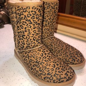 Leopard Uggs